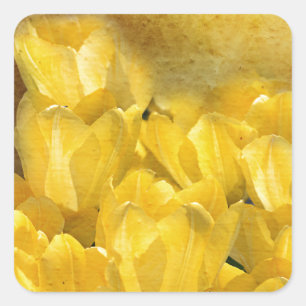 Waterverf Gele Tulpen met Chevron Vierkante Sticker