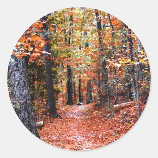 Waterverf geschilde herfst bos ronde sticker (Voorkant)