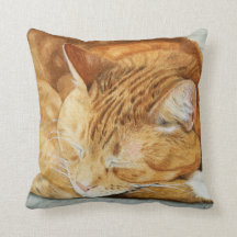 Waterverf Ginger Cat Square Sierkussen
