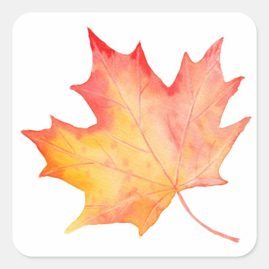 Waterverf Golden Maple Leaf Vierkante Sticker (Voorkant)