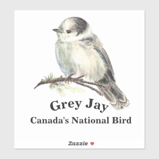 Waterverf Gray Jay Wildlife Natuur Sticker (Vel)