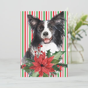 Waterverf-grens collie met Poinsettia-Kaart