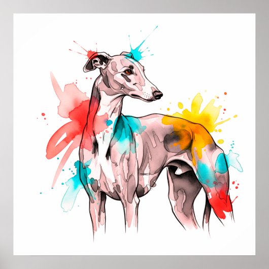 Waterverf Greyhound met kleur Splash accenten Poster (Voorkant)