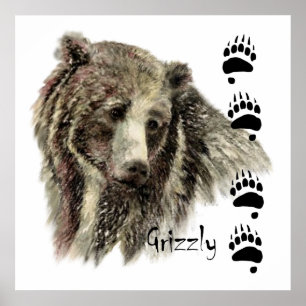 Waterverf Grizzly Beer Wildlife Natuur Art Poster