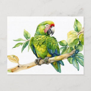 Waterverf Groene Parrot op een boomtak Briefkaart