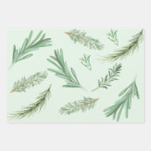 Waterverf Groene Rosemary Branches Herbal Inpakpapier Vel (Voorkant 2)