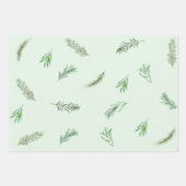 Waterverf Groene Rosemary Branches Herbal Inpakpapier Vel (Voorkant)