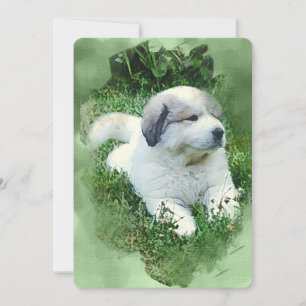Waterverf Grote Pyreneeën Puppy - Verzachtend