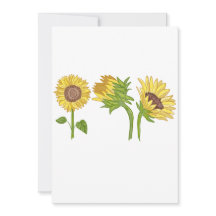 Waterverf Handgeschilderde Zonnebloem Bloeien