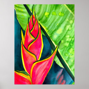 Waterverf heliconia tropische bloem poster