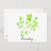 Waterverf Herb Parsley Illustration Briefkaart (Voorkant / Achterkant)