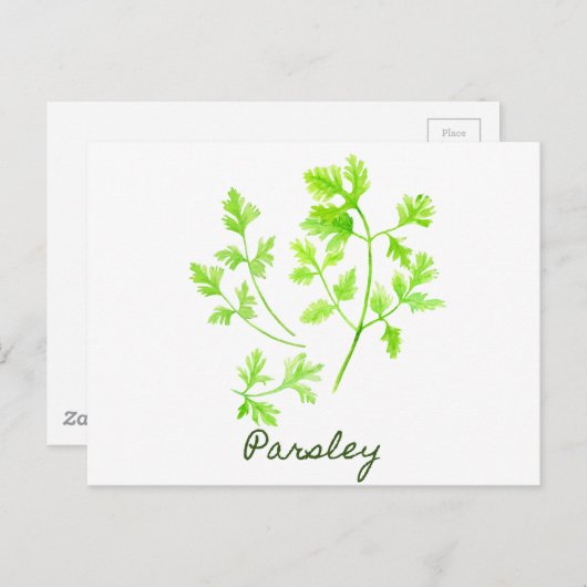Waterverf Herb Parsley Illustration Briefkaart (Voorkant / Achterkant)