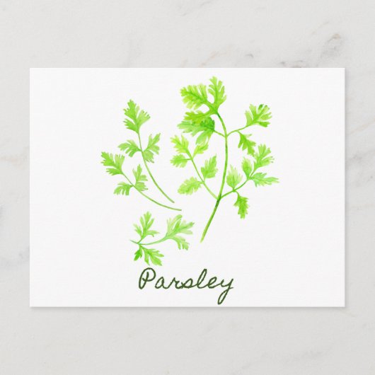 Waterverf Herb Parsley Illustration Briefkaart (Voorkant)
