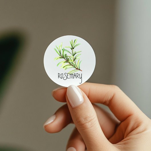 Waterverf Herb Rosemary Ronde Sticker