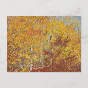 Waterverf Herfst Briefkaart