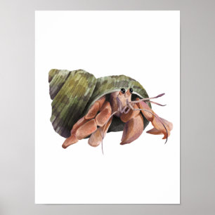 Waterverf Hermit Crab Crustaceancore Poster