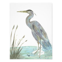 Waterverf Heron