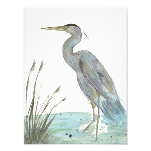 Waterverf Heron Foto Afdruk (Voorkant)