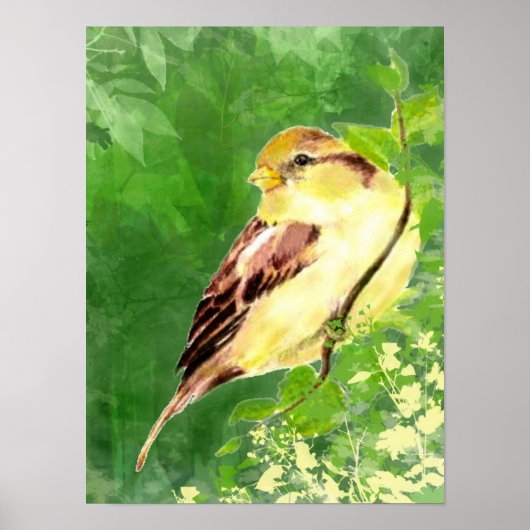 Waterverf Het Schilderen van Sparrow Bird in Tree Poster (Voorkant)