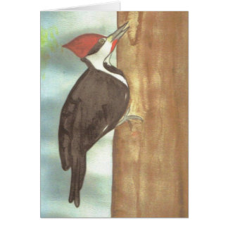 waterverf-houtpecker
