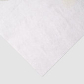 Waterverf Illustratie van een Pelican Decoupage Tissuepapier (Detail)