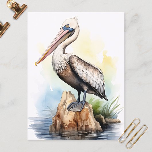 Waterverf illustratie van een pelikaan briefkaart
