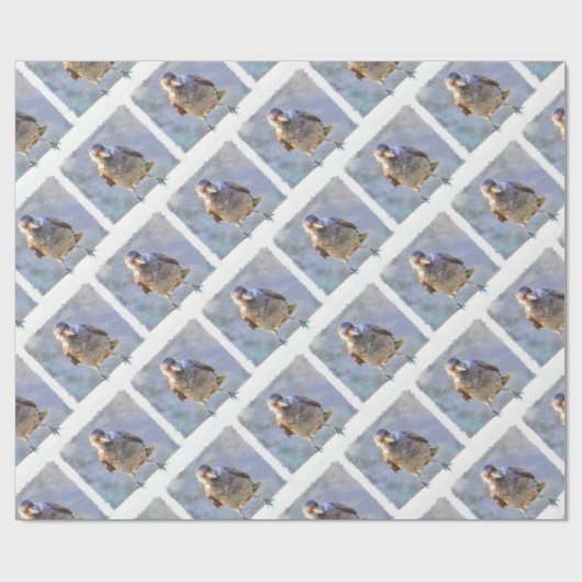 Waterverf Jackdaw Cadeaupapier (Vlak)