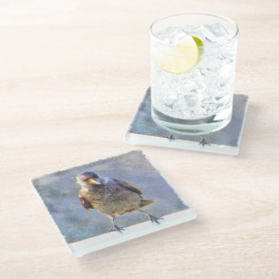 Waterverf Jackdaw Glazen Onderzetter