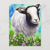 Waterverf Jacob Sheep Briefkaart (Voorkant)