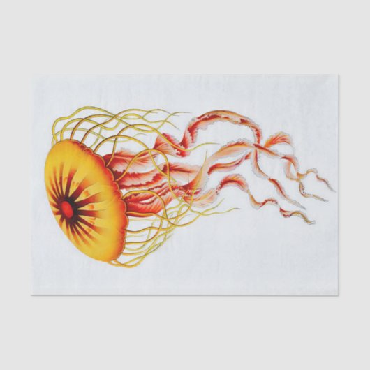 Waterverf Jellyfish tegen witte achtergrond Tissuepapier (Voorkant)