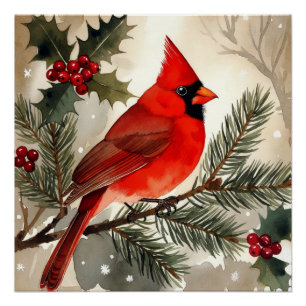 Waterverf Kardinaal op Besneeuwde Dennen Tak Kerst Perfect Poster