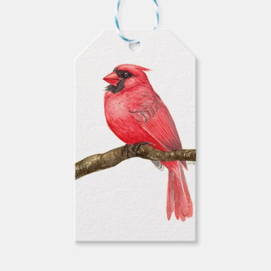 Waterverf kardinale vogels cadeaulabel (Voorkant)