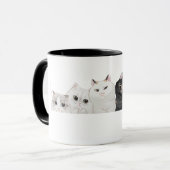 Waterverf Katten Kittens Mokken (Voorkant links)