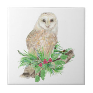 Waterverf Kerstmis Barn Owl Bird Wildlife Tegeltje