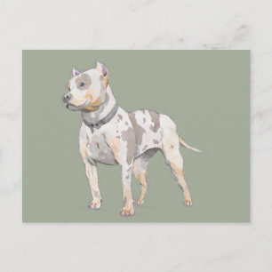 Waterverf ketch Kute Pit Bull Terrier Dog Briefkaart