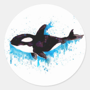 Waterverf Killer Whale Ronde Sticker