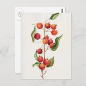 Waterverf kleine appelbranche briefkaart (Voorkant / Achterkant)