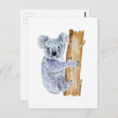 Waterverf koala illustratie briefkaart (Voorkant / Achterkant)