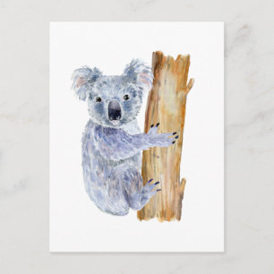 Waterverf koala illustratie briefkaart
