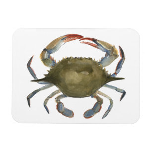 Waterverf krab - grijs magneet