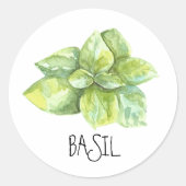 Waterverf Kruid Basilicum Ronde Sticker (Voorkant)