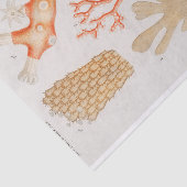 waterverf kustkoraal tissuepapier (Detail)