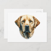 Waterverf Labrador Retriever Briefkaart (Voorkant / Achterkant)