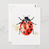 Waterverf Ladybug Briefkaart (Voorkant / Achterkant)