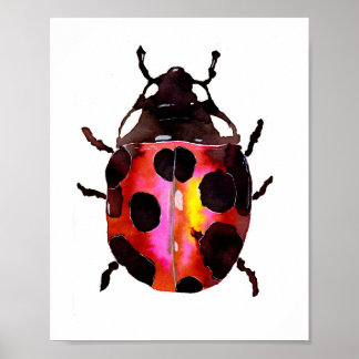 Waterverf Ladybug Poster