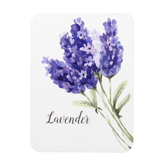 Waterverf Lavender Flowers Magneet (Verticaal)