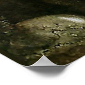 waterverf "Leap the Elk" van John Bauer Poster (Hoek)