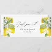 Waterverf Lemon Blossom Hanging Seat Chart Sign. (Voorkant / Achterkant)