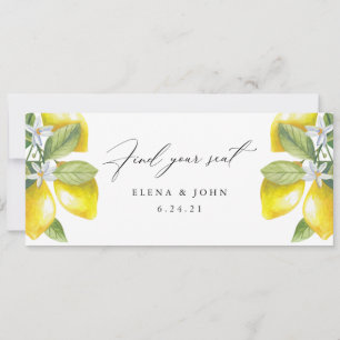 Waterverf Lemon Blossom Hanging Seat Chart Sign.