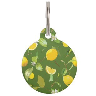Waterverf Lemon & Leaves 5 Huisdierpenning